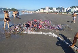 Balão cai no mar e assusta banhistas no litoral paulista