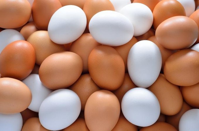 Após acusar esposa de roubar ovos de galinha, homem agride a companheira e faz filha comer lama em Feira Grande