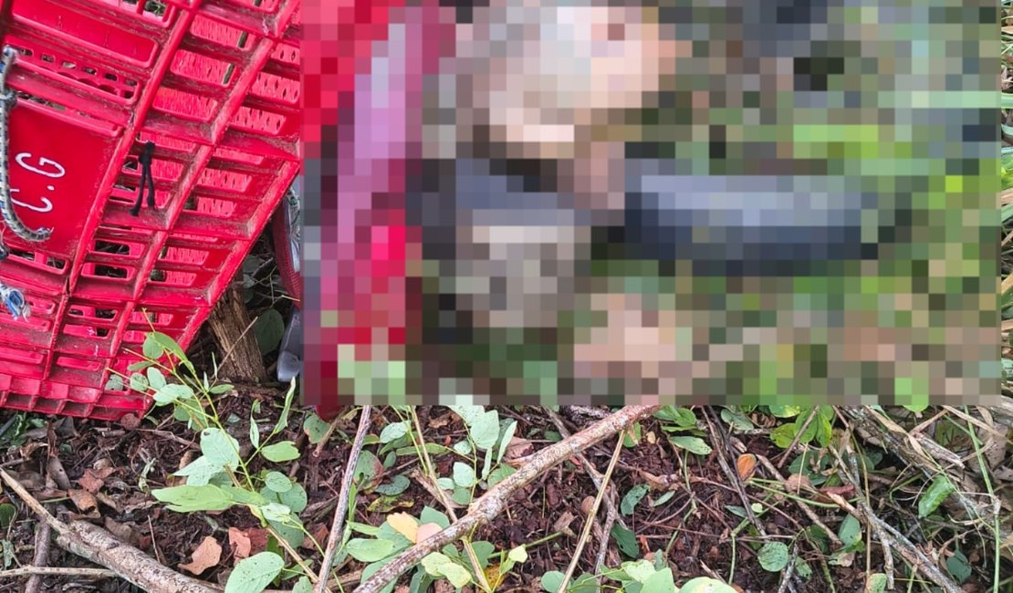 Homem que transportava frango em motocicleta, é encontrado morto às margens da AL-101 Sul, em Penedo