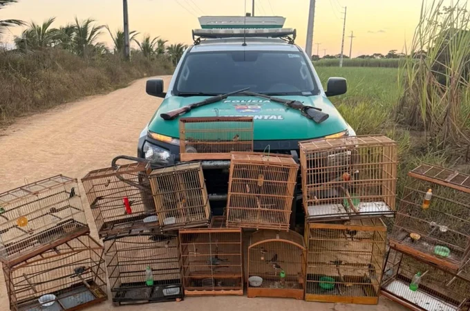 PM-AL apreende duas armas de fogo e resgata 59 animais silvestres em ações de fiscalização