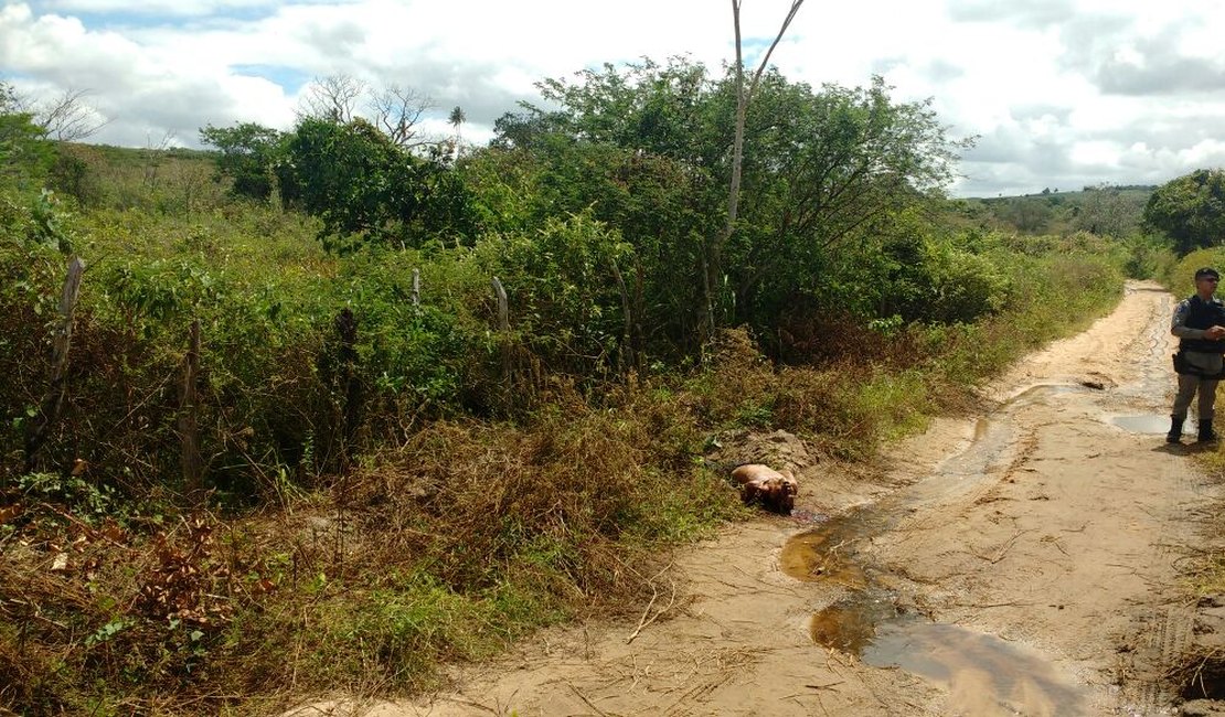 Populares encontram homem assassinado em estrada vicinal de Girau do Ponciano