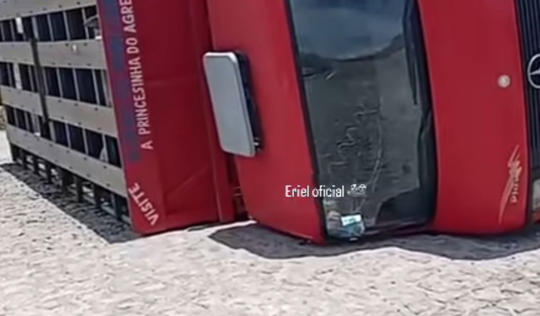 Caminhão carregado de bois tomba na zona rural de Traipu