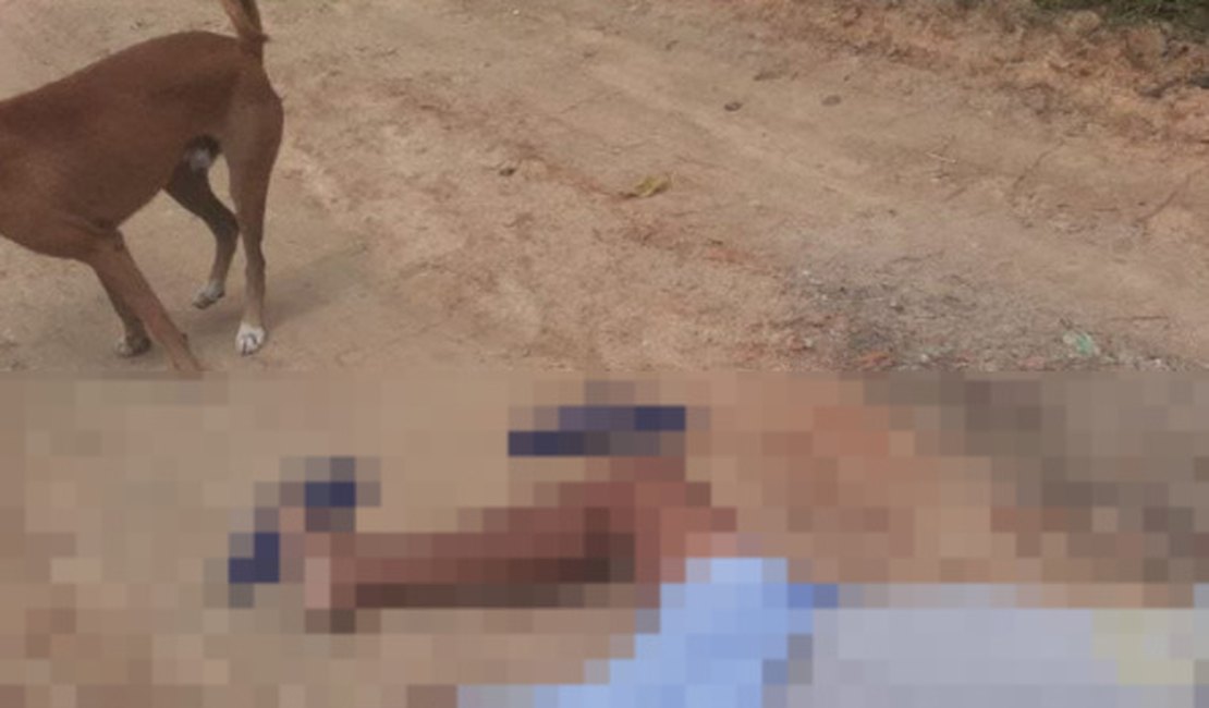 Comerciante de Pindoba é assassinado a tiros em estrada vicinal de Viçosa