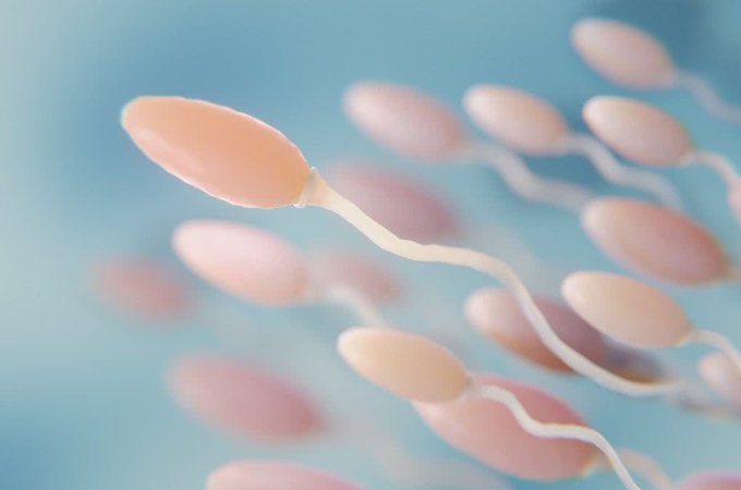 Ejacular com frequência pode aumentar fertilidade em homens?