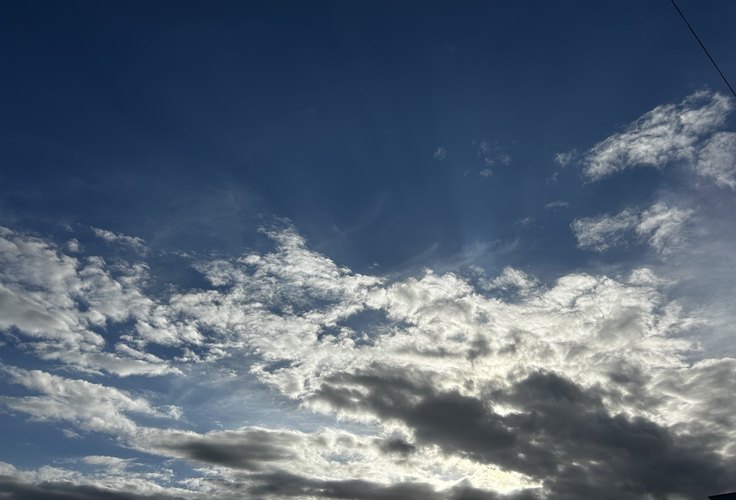 Sobre perder e a noção de eternidade: um tributo a uma grande mulher