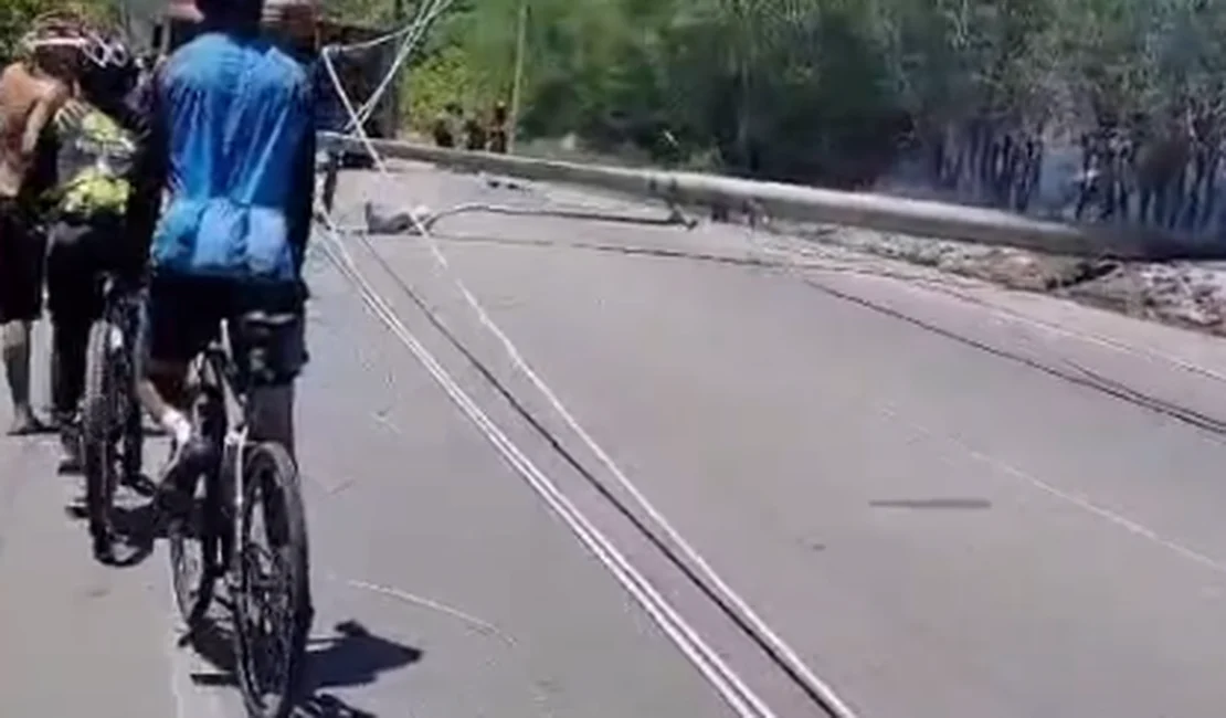 Incêndio de grandes proporções provoca queda de dois postes de energia elétrica na AL-101 Norte