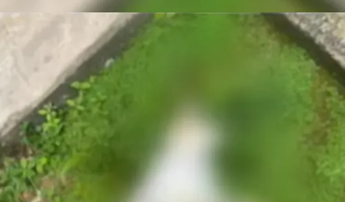 Moradores denunciam mortes e desaparecimento de animais com suspeita de envenenamento em condomínio de Maceió