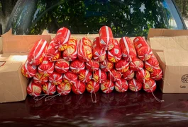 Carga com mortadelas vencidas e bandejas de ovos sem nota fiscal é apreendida na AL-101 Norte