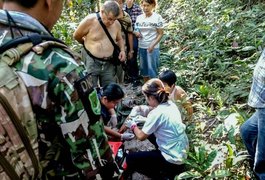 Crocodilo ataca turista que tentava fazer selfie em parque