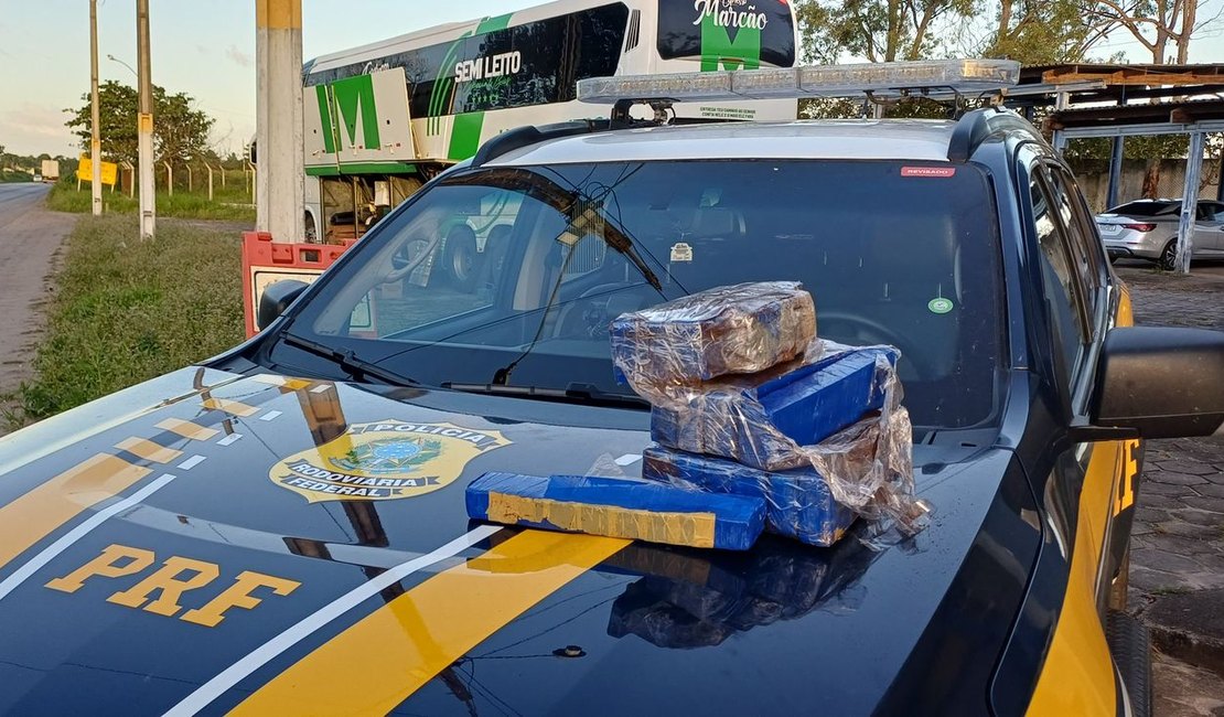 Passageiro de ônibus é preso após ser flagrado com 12kg de maconha em São Sebastião; material foi comprado no Paraná