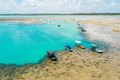 Pelo 4º ano consecutivo, Praia do Patacho, em Alagoas, recebe selo internacional Bandeira Azul