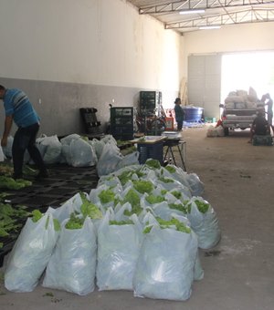 Prefeitura entrega mais de 110 toneladas de alimentos para famílias arapiraquenses