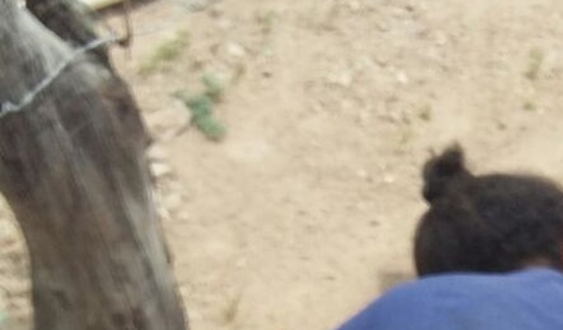 Homem mata a mulher e se enforca por não aceitar separação