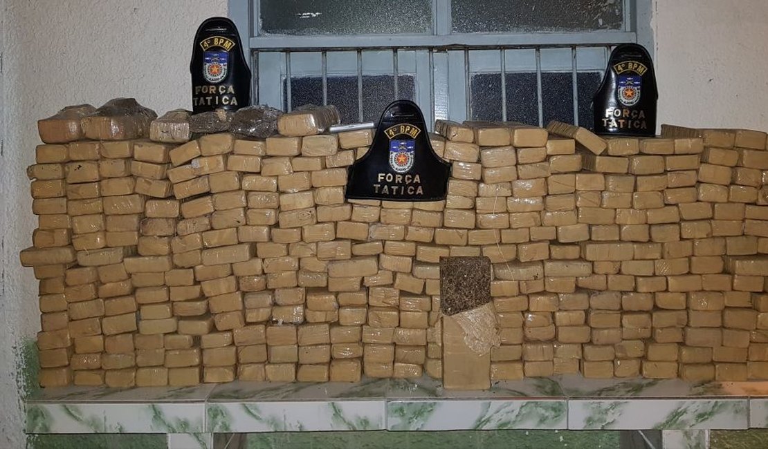 Polícia encontra 200 kg de maconha enterrados em uma mata na grota da Goiabeira