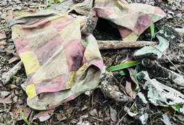 Ossada humana é encontrada por trabalhadores de fazenda em Coruripe