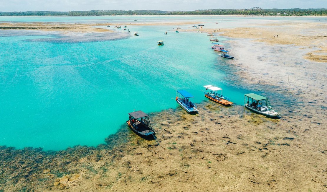 Pelo 4º ano consecutivo, Praia do Patacho, em Alagoas, recebe selo internacional Bandeira Azul