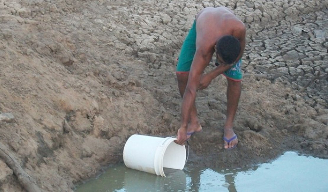 Municípios de Alagoas têm decreto de emergência pela seca negado