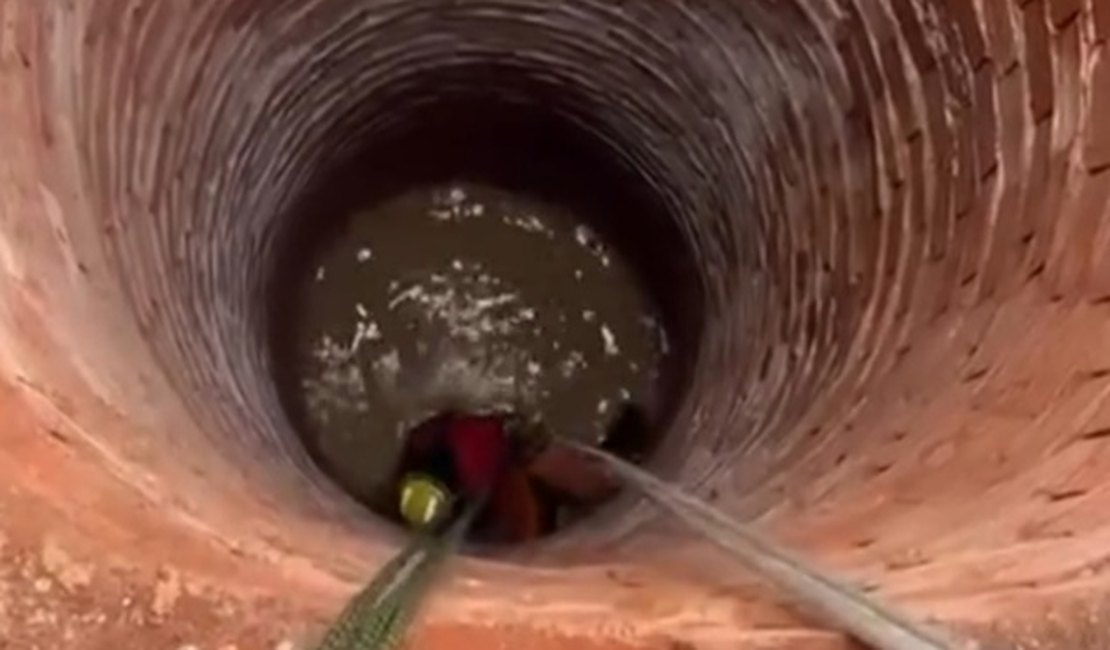 VÍDEO: Bezerro cai em poço e é resgatado por bombeiros na zona rural de Feira Grande
