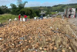 Caminhão carregado de cocos tomba e motorista morre na BR-101, em Alagoas