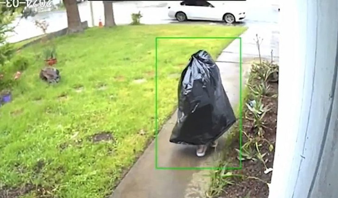 Vídeo mostra ladrão se disfarçando de saco de lixo para roubar encomenda