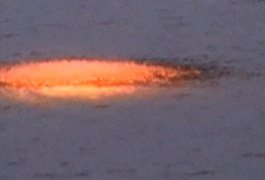 Pescadores são presos por uso de explosivos durante pesca no Litoral Sul
