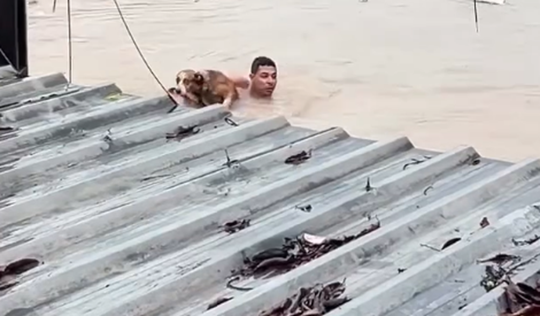 VÍDEO: Homem salva vida de cachorro durante inundação em bairro de Olinda