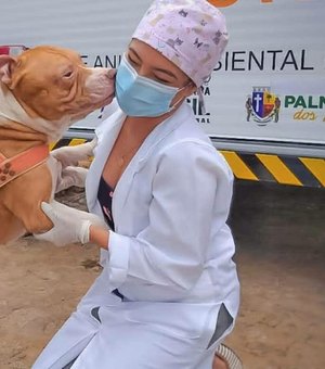 Prefeitura de Arapiraca irá implantar programa de castração móvel para cães e gatos no município