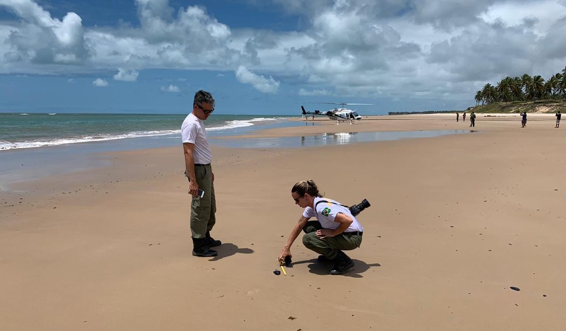 Equipes do Ibama fiscalizam Litoral Sul de Alagoas e traçam estratégias de prevenção