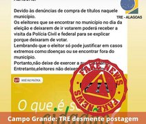 TRE desmente postagem falsa sobre eleitores que não votarem em Campo Grande