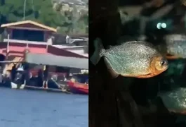 Homem é devorado por piranhas após se afogar em rio no Dia das Mães