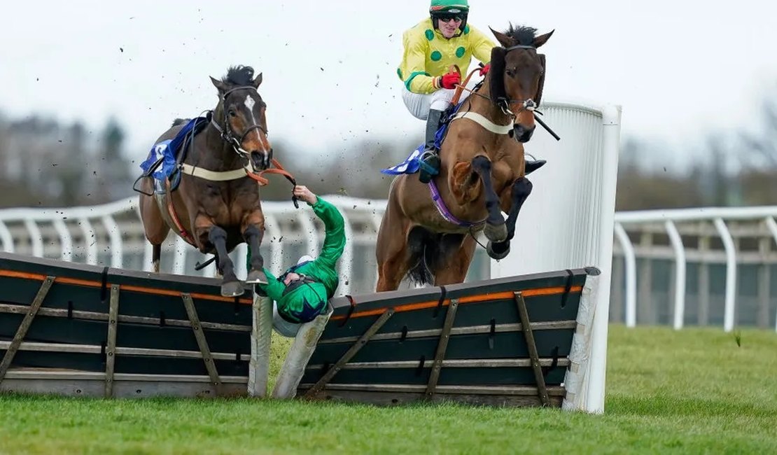 Cavalo sofre ataque cardíaco e morre em corrida na Inglaterra