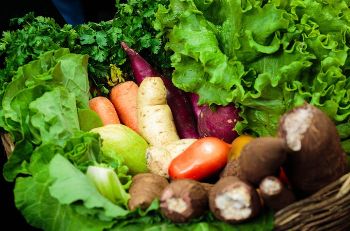 Governo envia pacote de justiça fiscal à ALE; proposta zera imposto de alimentos da cesta básica e protege receitas do Estado