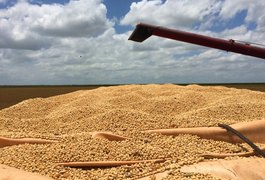 Rodada de negócios vai incentivar a produção de grãos em Alagoas
