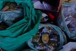 Polícia Civil apreende 14kg de maconha e prende três pessoas em flagrante no bairro Cavaco