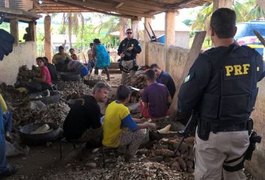Alagoas é o 3º maior estado exportador de mão de obra escrava do Brasil