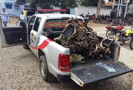 Polícia Militar encontra cemitério de motos roubadas e recupera chassis em Arapiraca