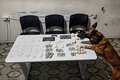 Mulher é presa com quantidade expressiva de drogas no Cangandu, em Arapiraca