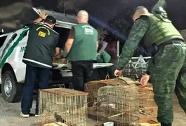 FPI resgata mais de 30 aves silvestres em Arapiraca