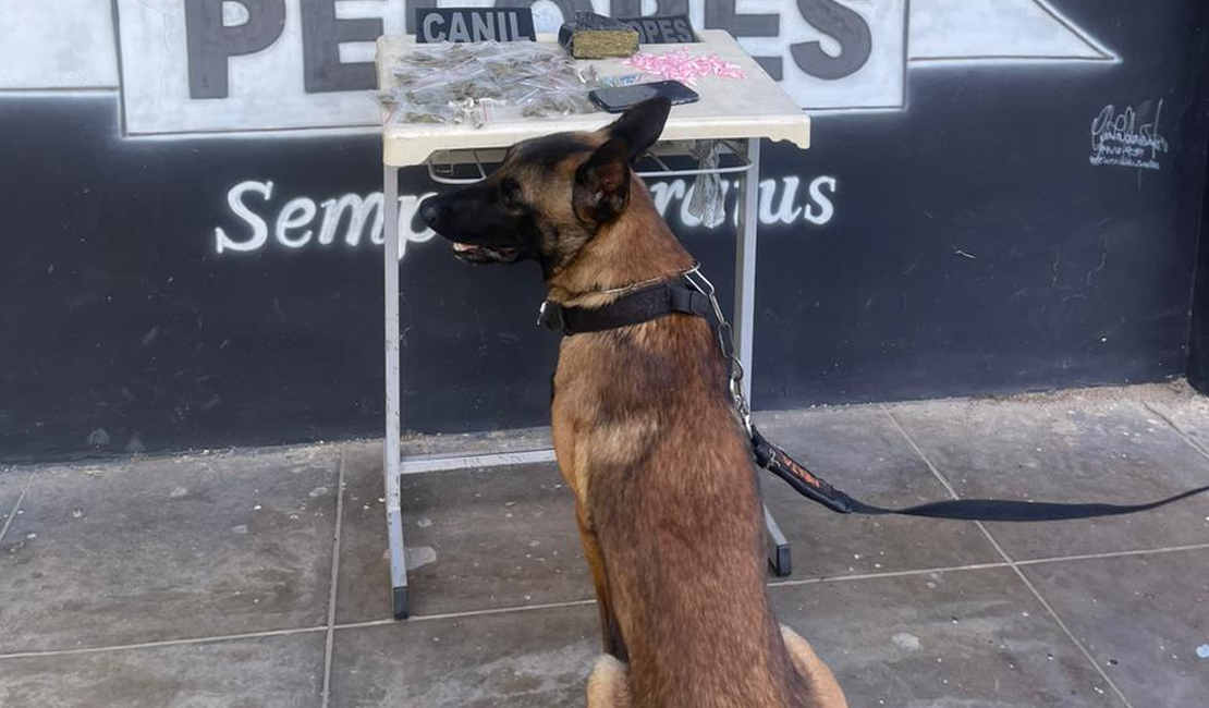 Adolescente de 16 anos é apreendido e jovem de 21 preso por tráfico de drogas, em Arapiraca