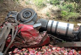 Carreta com biscoitos tomba na ponte da BR 101 e motorista morre