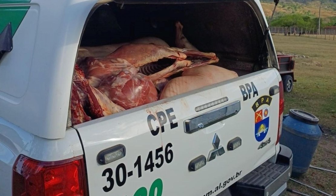 Abatedouro clandestino é fechado e responsável é preso por crime ambiental, ﻿em União dos Palmares