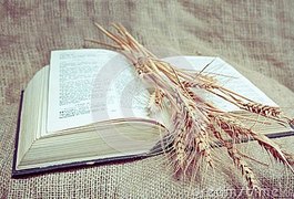 Seguir Jesus de Nazaré: O Caminho da Vida
