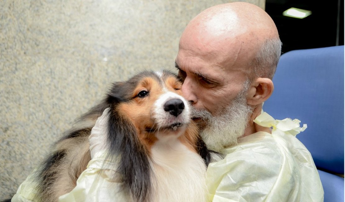 Após visita de cachorro, melhora de paciente com câncer surpreende médico