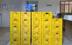 Alimentos arrecadados na Paixão de Cristo são doados ao Mesa Brasil