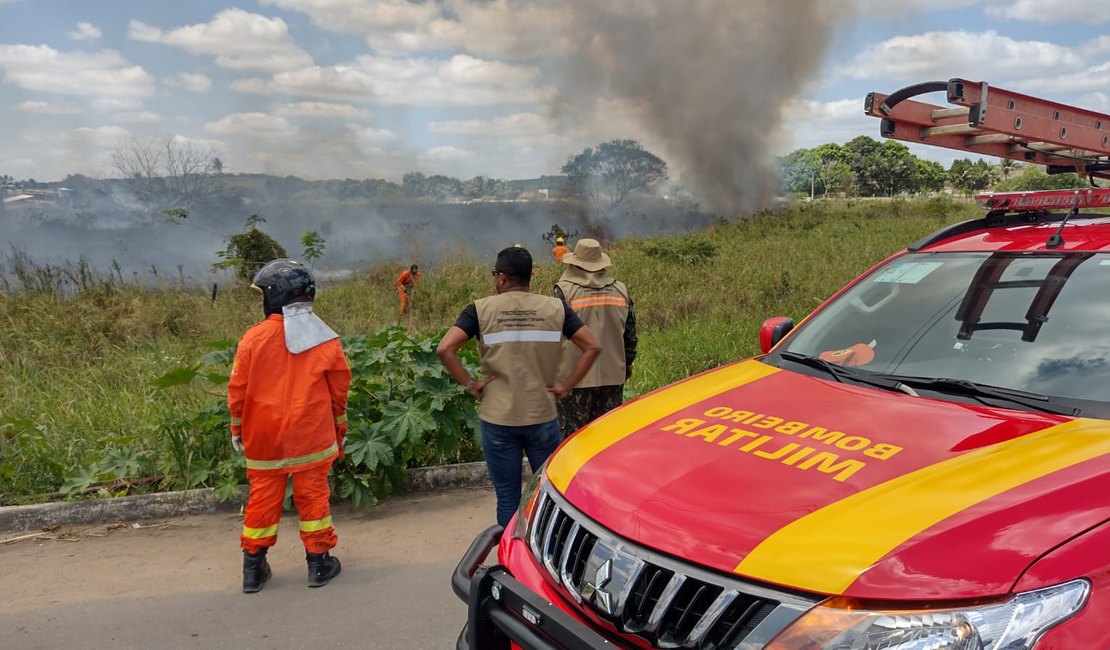 Vídeo. Incêndio em vegetação assusta moradores às margens da AL-220, em Arapiraca