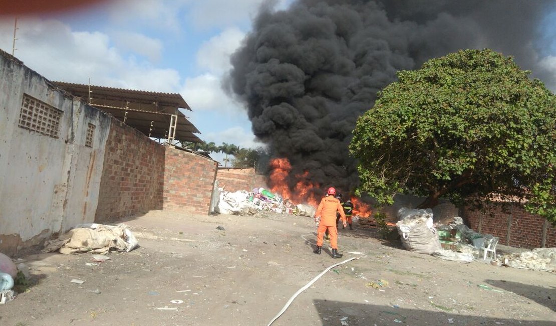 VÍDEO. Galpão de recicláveis em Arapiraca é atingido por incêndio