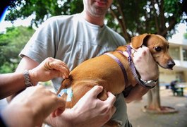 Vacinação Antirrábica: campanha segue até 8 de outubro em Arapiraca