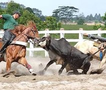 MPE/AL ajuíza ação para suspender 14º Campeonato Brasileiro de Vaquejada, no Pilar