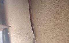 Incêndio em residência em Palmeira dos Índios