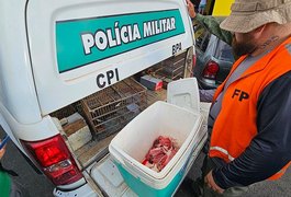 Fiscalização flagra venda de aves e de carne de preá em feira livre de Delmiro Gouveia